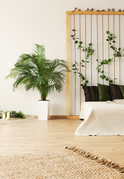 Servicios de Diseño de Interiores Residencial 1